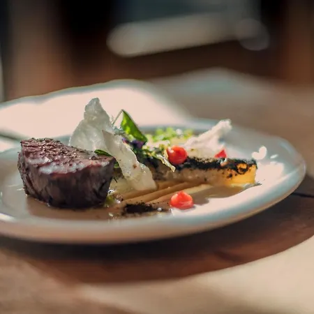 Rohrmooser Schloessl Pensión Schladming