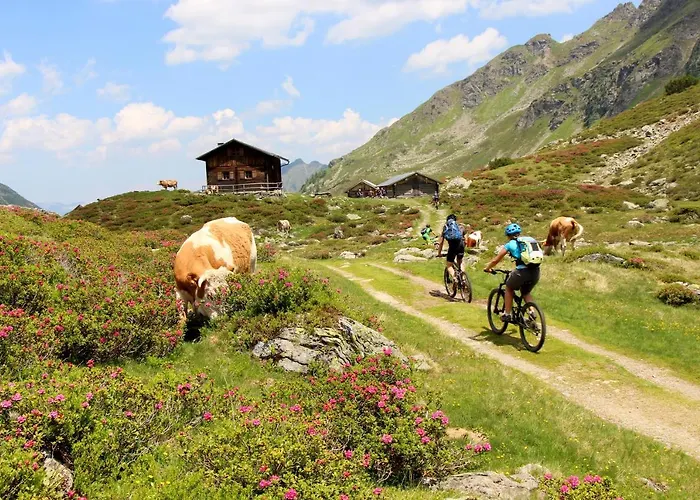 Rohrmooser Schloessl Penzion